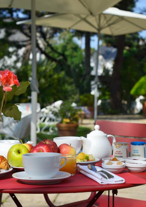 petit-déjeuner ensoleillé et jardin fleuri - hotel saint christophe